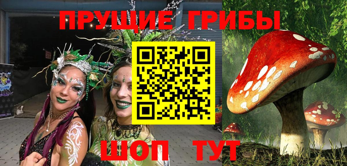 Галлюциногенные грибы Psilocybine cubensis Нижневартовск